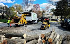 Best Pest Control for Lawns  in Cumming, GA