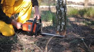 Best Seasonal Cleanup (Spring/Fall)  in Cumming, GA