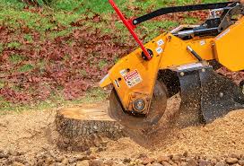 Professional Tree Services in Cumming, GA